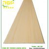 Tấm Nhựa Ốp Tường Zico - ZC28